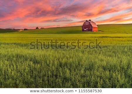 Stock photo: Red Barn In The Farm