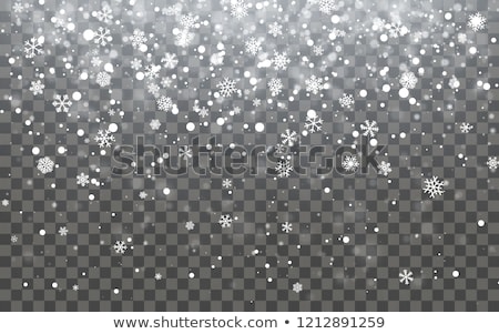 Stockfoto: Christmas Snow Falling Snowflakes On Dark Background Snowfall Vector Illustration