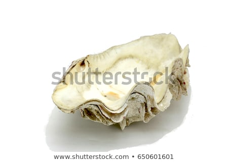 Foto d'archivio: Detail Of A Giant Clam In The Red Sea