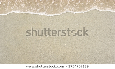 Pattern Type Texture On The Sand Beach Stock foto © 7Crafts