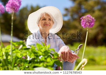 Stock fotó: Senior Woman With Garden Pruner And Allium Flowers