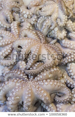 Fresh Octopus On Local Market Stall Stock fotó © Frank11