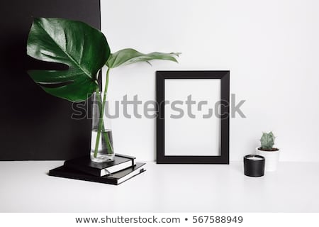Stock photo: Monstera Leaves Life Style