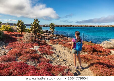 Stock foto: Galapagos Tourist Taking Pictures Of Wildlife And Landscape On North Seymour