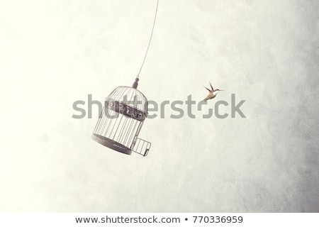 Foto stock: Bird Cage