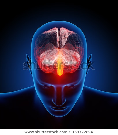 商業照片: Human Brain Illustrated With Millions Of Small Nerves