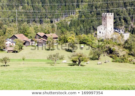 Foto stock: Ruins Of Sils Castle Canton Graubunden Switzerland