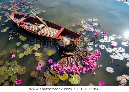 Foto stock: Vietnamese Boats At River Ninh Binh Vietnam