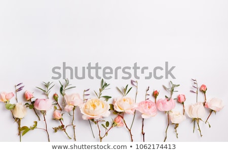 Stock foto: Bouquet Of Beautiful Pink Roses With The Invitation Or Congratul