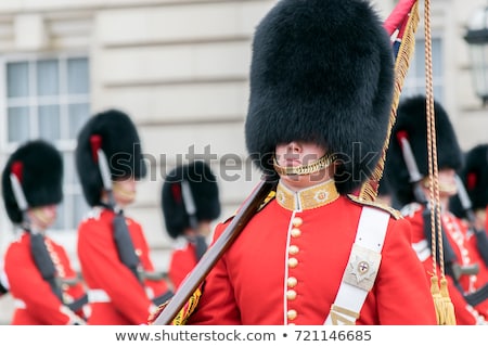 Stock photo: Royal Guard