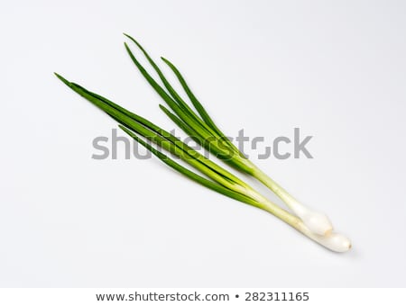 Stock fotó: Fresh Green Onions Basil And Dill On A White Background