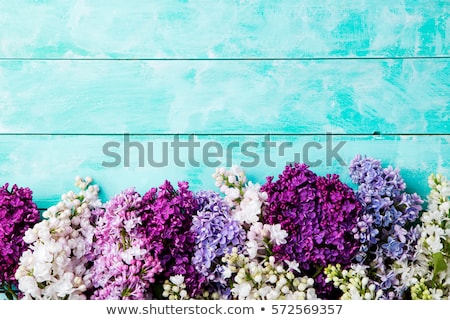 ストックフォト: Bunch Of Lilac Flowers On A Turquoise Wooden Background Top View Copy Space