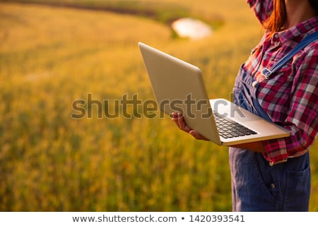 Foto d'archivio: Researcher Using Digital Tablet In Wheat Crop Field