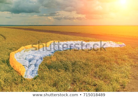 ストックフォト: Parachute Lying In Green Grass