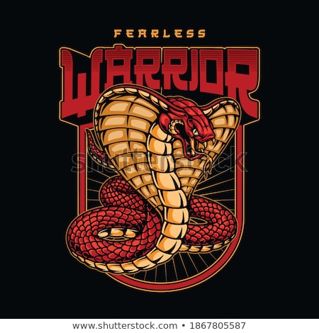 商業照片: The Fearless Warior