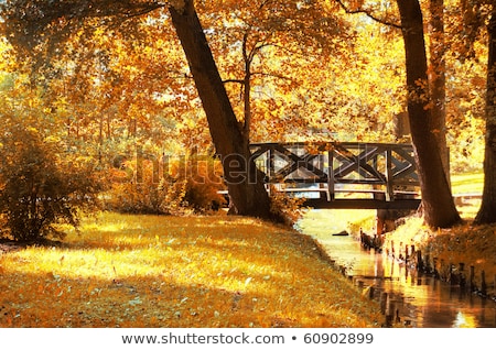 [[stock_photo]]: Romance Autumn Nature Scene