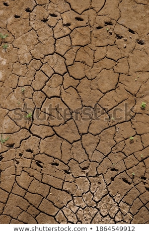 [[stock_photo]]: Cracked Riverbed