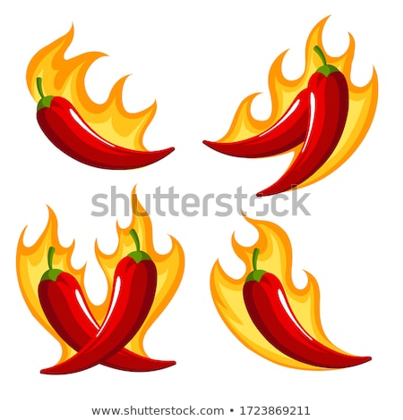 Foto stock: Hot Chili Pepper Vector Set Isolated On White Background