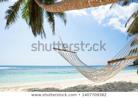 Stock foto: Hammock On Anse Baleine Mahe Island Seychelles