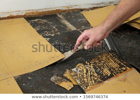 Сток-фото: Old Vinyl Tiles Removal From Floor In A Room Or Kitchen