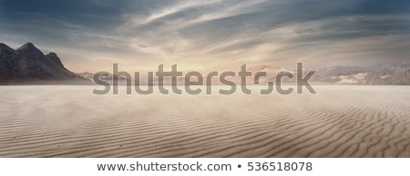 Stock photo: Desert