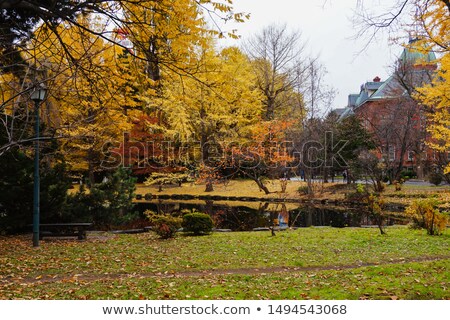 Stock photo: Autum Garden Colors