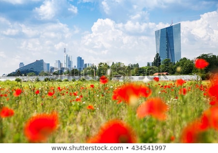Stock fotó: Skyline Of Frankfurt With Fields In Foreground