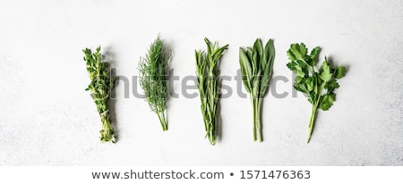 Foto stock: Fresh Herbs