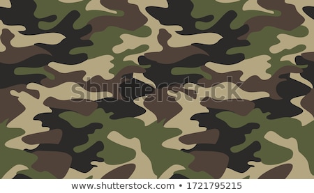 Soldier In Brown Uniform ストックフォト © CoSveta