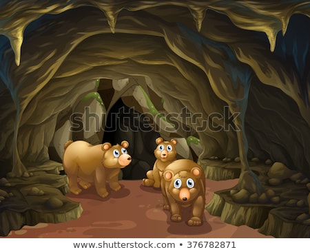 ストックフォト: A Bear Living In Cave