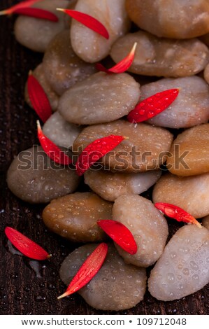 Red Gerbera Petals On Wet Yellow River Stone Stockfoto © Calvste