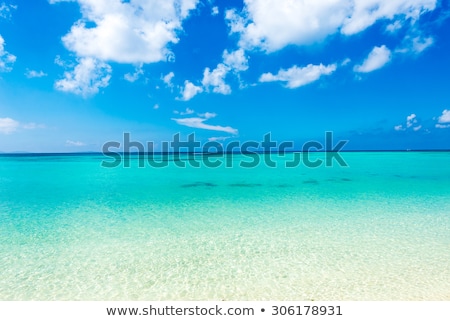 Foto d'archivio: Sea Of Emerald Green Okinawa