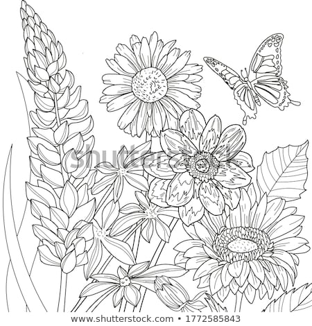[[stock_photo]]: Flower Coloring Page
