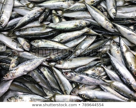 Stock fotó: Fresh Fish For Sale