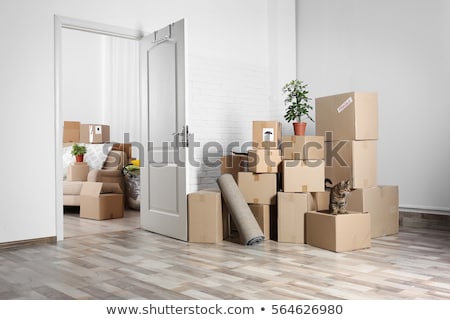 Foto stock: Sofa And Cardboard Boxes In New Home