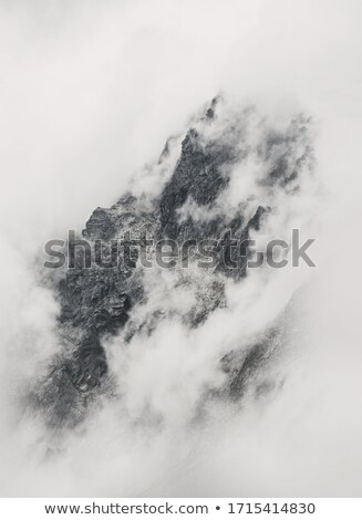 Stok fotoğraf: Flowers On The Cliff In The Mountains