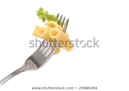 Сток-фото: Pasta Tubes On Fork