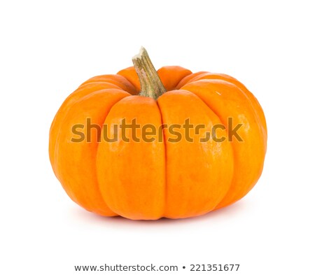 [[stock_photo]]: Large Orange Pumpkin And Mini Pumpkins As Seasonal Decorations