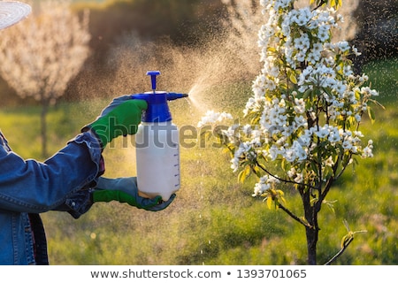 Сток-фото: Using Chemicals In The Gardenorchard