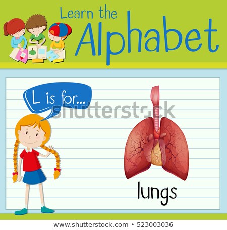 [[stock_photo]]: Flashcard Letter L Is For Lungs