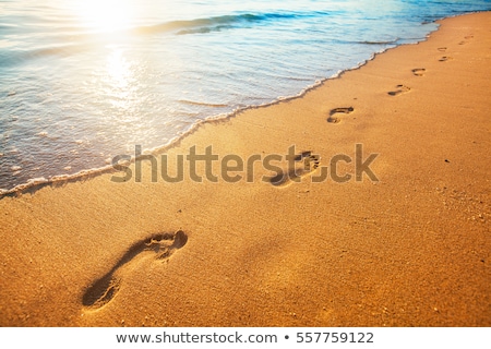 Stock fotó: Nature Background With Sea Water And Footprints In The Sand