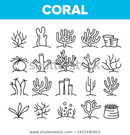 Stock photo: Vector Icon Coral