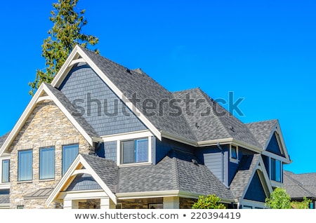 Zdjęcia stock: Chimneys On The Roofs Of Houses