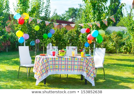 ストックフォト: Garden Birthday Party Decoration