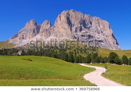 Mountains Langkofel And Plattkofel In Dolomites ストックフォト © LianeM