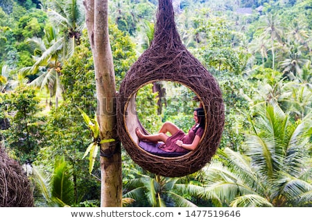 ストックフォト: A Female Tourist Is Sitting On A Large Bird Nest On A Tree At Ba