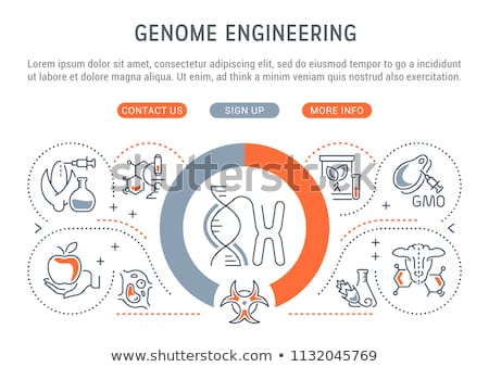 Zdjęcia stock: Genetically Modified Organism Concept Landing Page