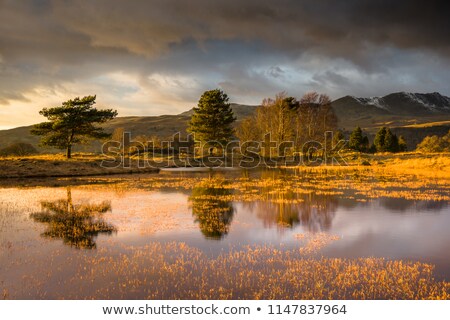 Foto stock: Coniston Water Lake District Cumbria