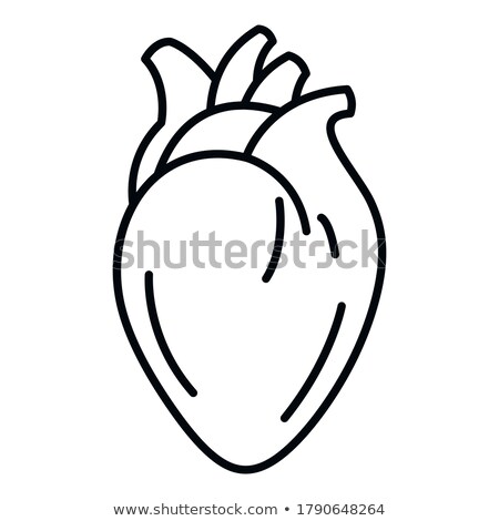 Stock fotó: Human Veins And Arteries Cutaway Diagram On Black Background W