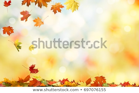 ストックフォト: Bright Autumn Leaves On The Abstract Background With Bokeh